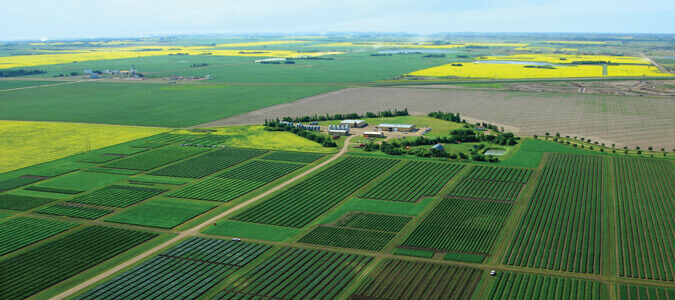 Saskatchewan network