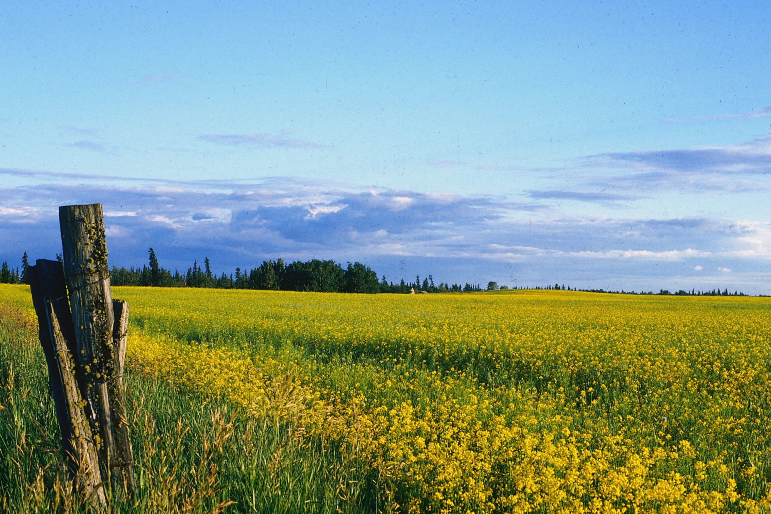 Saskatchewan landscape and delivery coverage